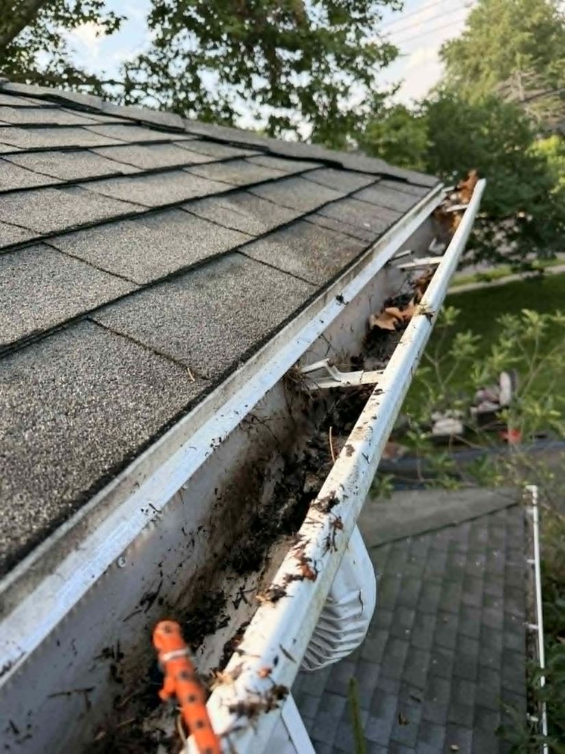 Gutter packed with leaves and debris before cleaning