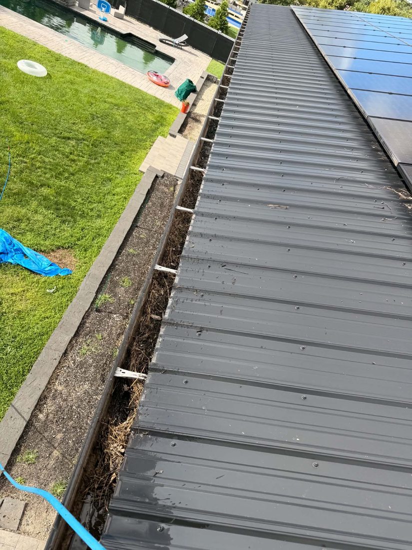 Gutter packed with pine needles along a metal roof