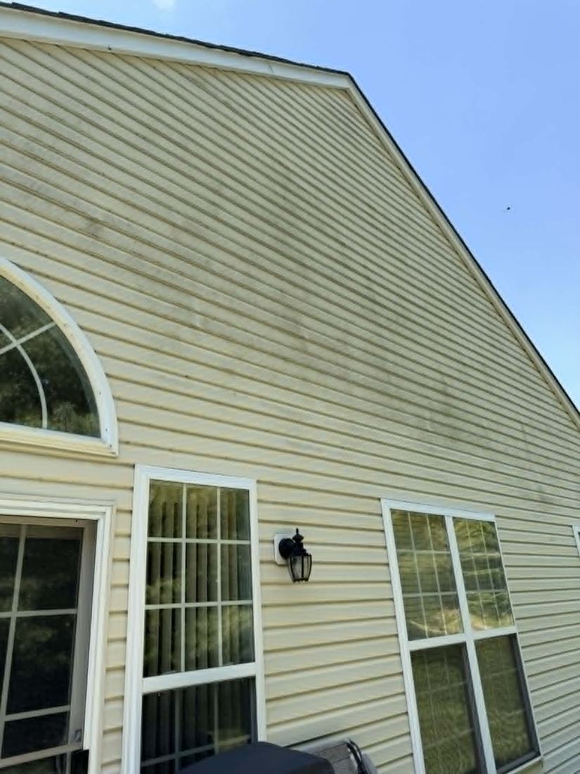 Siding with algae before soft wash