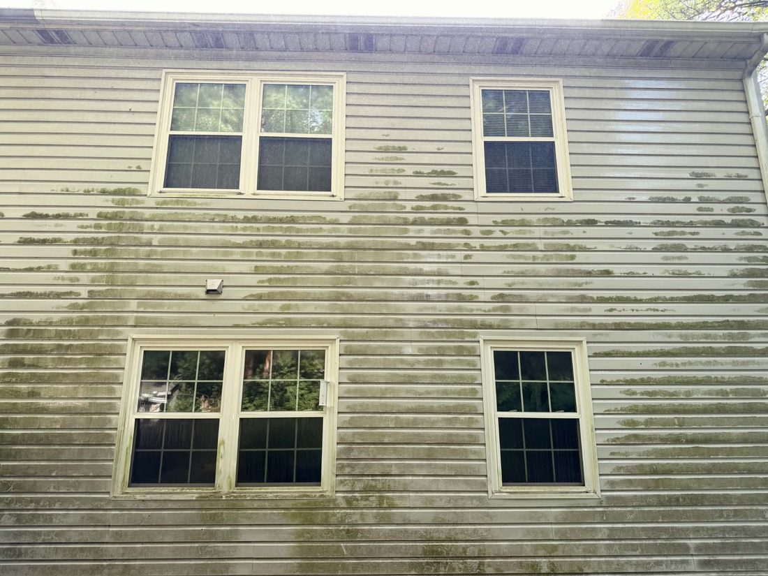 Siding covered in green algae and streaking before soft washing